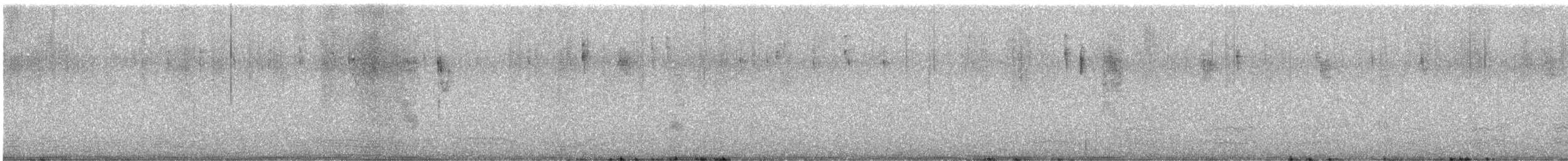 Spotted Scrubwren - ML645414772