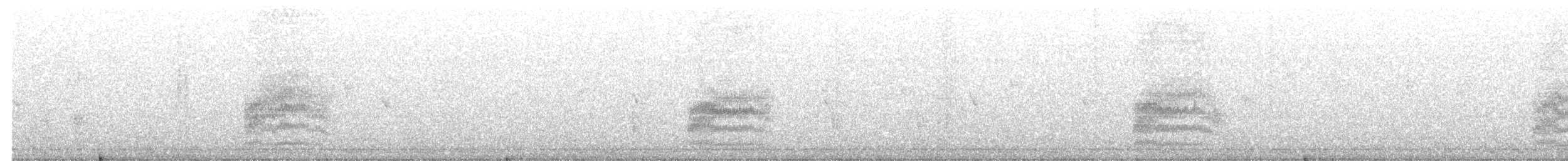 Пятнистый тохи - ML645414864