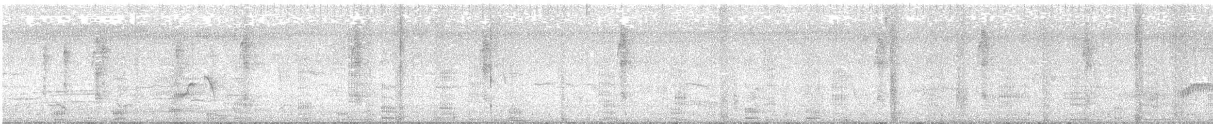 Neotropic Cormorant - ML645414898