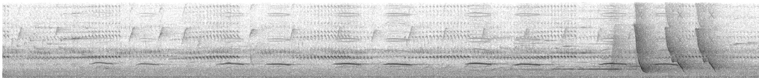 Silbador Cabezón Oriental - ML645415107