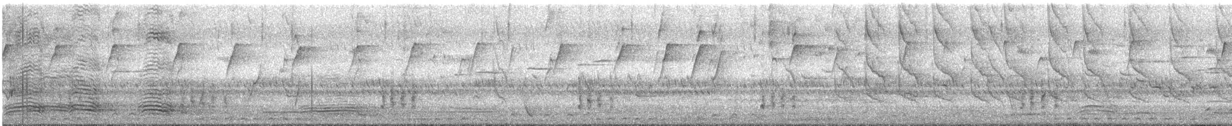 Silbador Cabezón Oriental - ML645415108