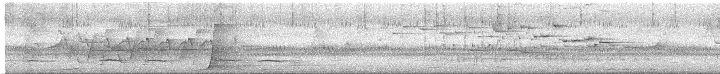Silbador Cabezón Oriental - ML645415109