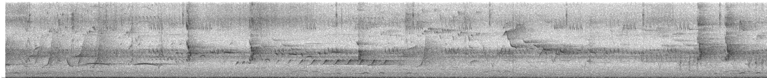 Silbador Cabezón Oriental - ML645415110