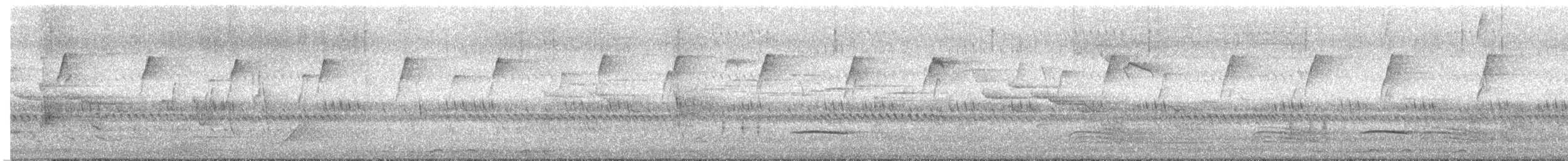 Silbador Cabezón Oriental - ML645415111