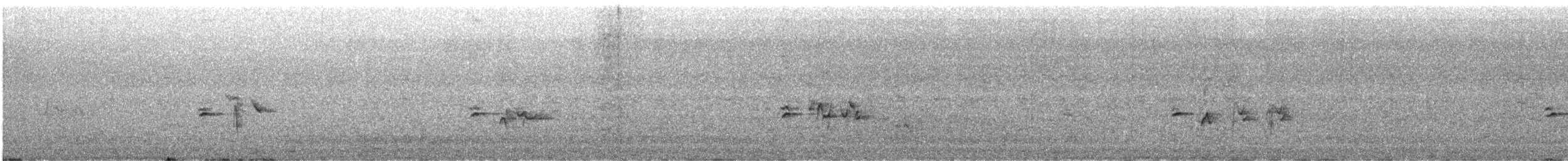 Pinu-gailupa - ML645415223