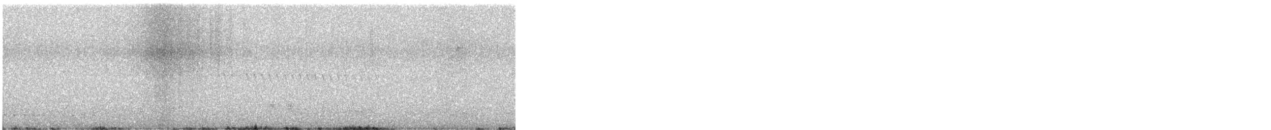 Crested Pigeon - ML645415264