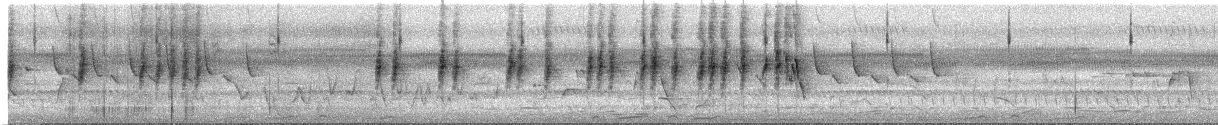 Tawny Grassbird - ML645415335