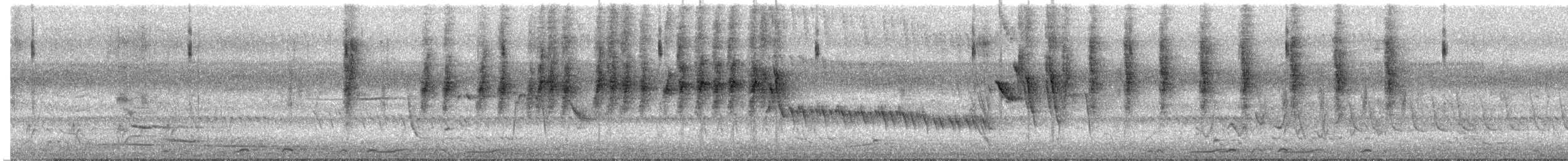 Tawny Grassbird - ML645415336