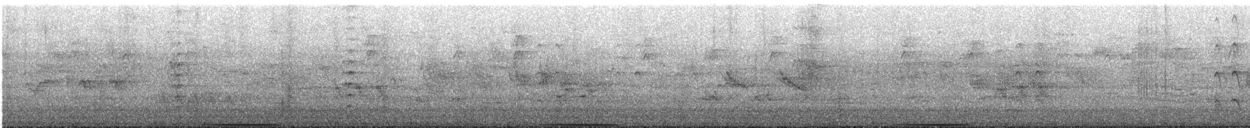 holub bronzovokřídlý - ML645415614