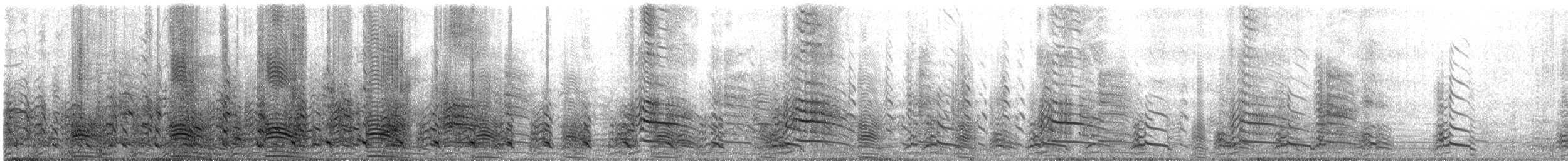 Chilean Skua - ML645415882