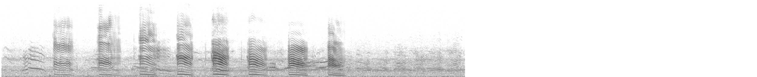 Chilean Skua - ML645415896