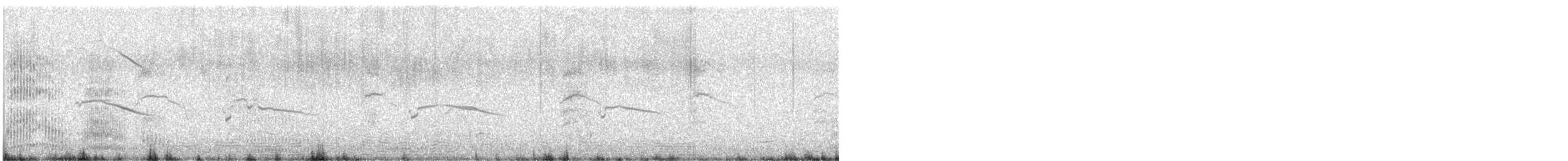 Silver Gull - ML645416082