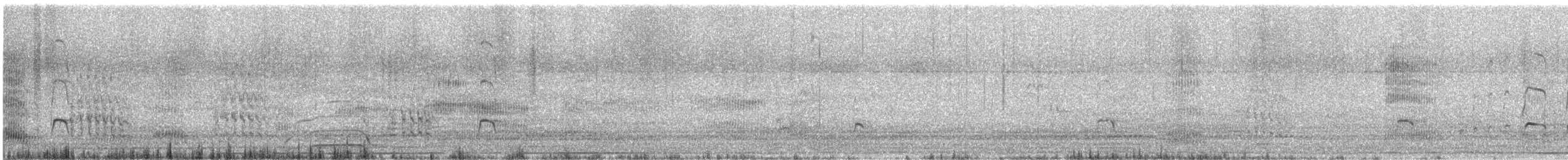 Pied Oystercatcher - ML645416180