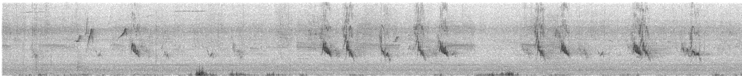 House Sparrow - ML645416267