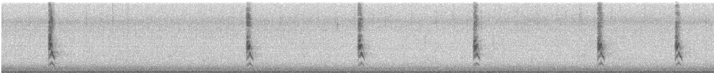 House Sparrow - ML645416307