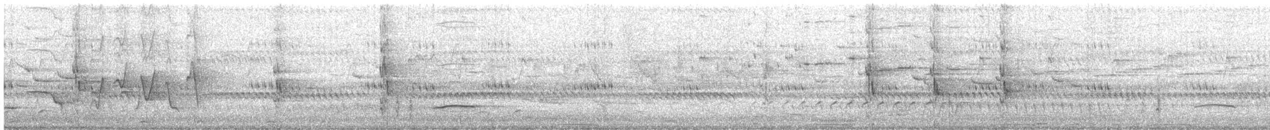 Eastern Shrike-tit - ML645416384