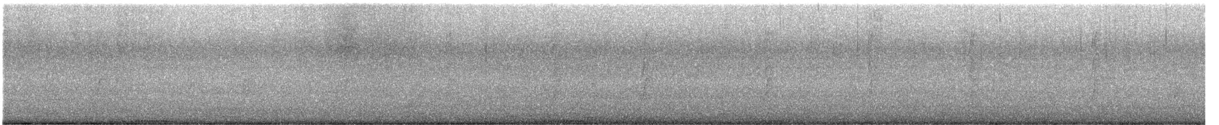 Rock Pigeon (Feral Pigeon) - ML645416439