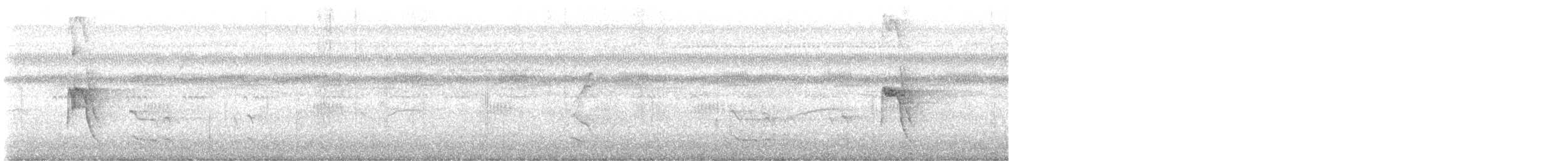 Social Flycatcher - ML645416654