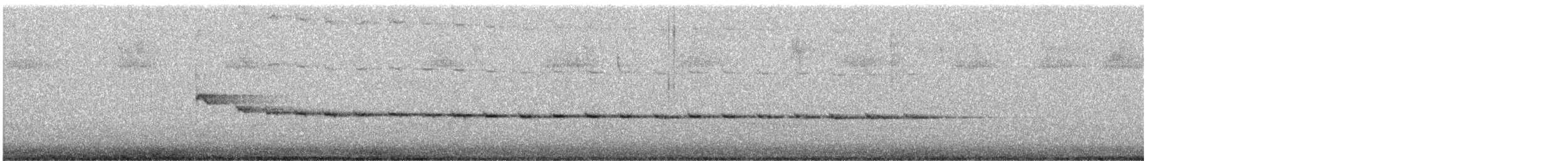 White-throated Treecreeper (White-throated) - ML645416708