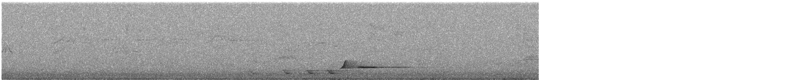 Gray Currawong (Black-winged) - ML645416745