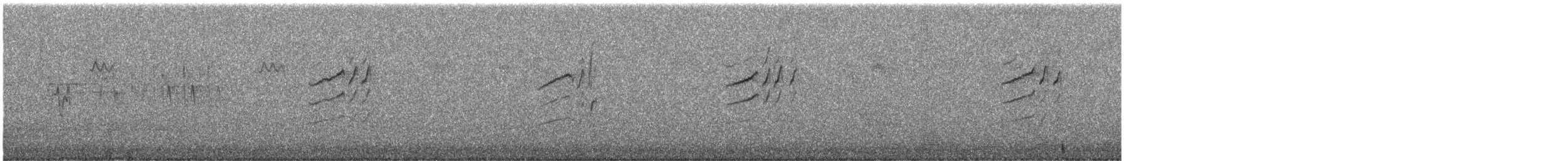 Silvereye - ML645416833