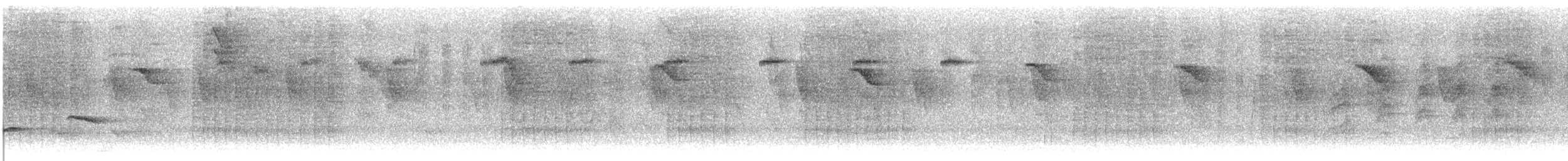 White-breasted Wood-Wren - ML645416971