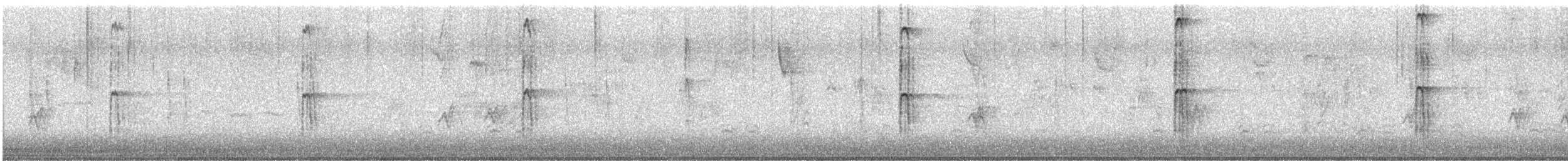 Hairy Woodpecker (Eastern) - ML645417036