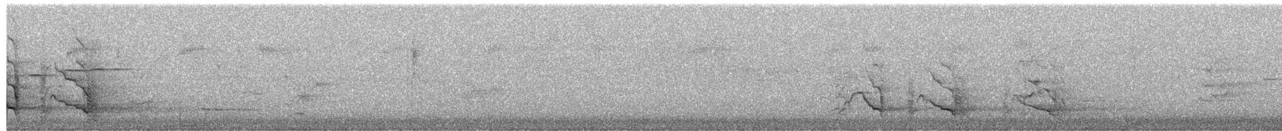 Yellow-tailed Black-Cockatoo - ML645417061