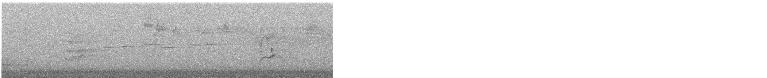 Gray Fantail (alisteri) - ML645417124