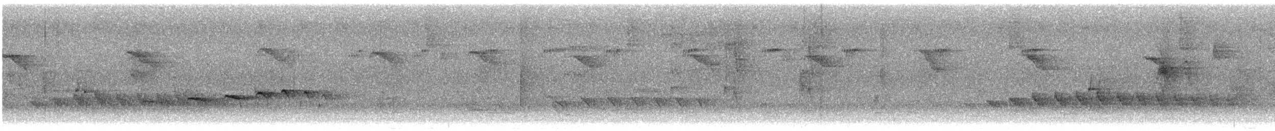 Покривник білочеревий - ML645417314