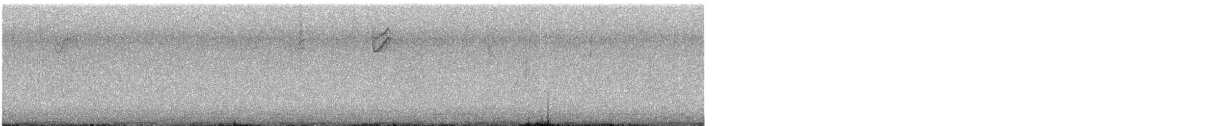 Paloma Bravía (variedad doméstica) - ML645418266