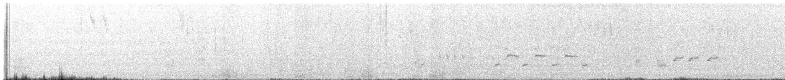 Sedosito Estriado - ML645418276