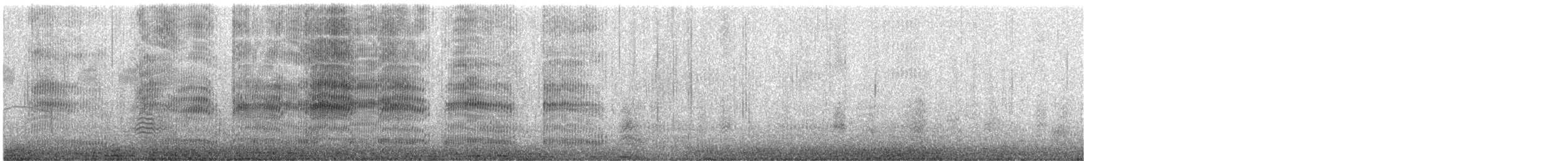 Gaviota Plateada Australiana - ML645418327