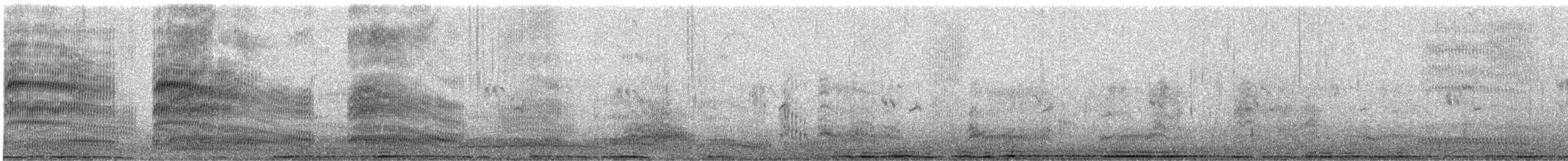 Gaviota Plateada Australiana - ML645418401