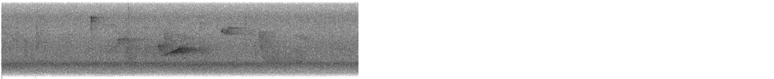 Fiofío Selvático - ML645418552