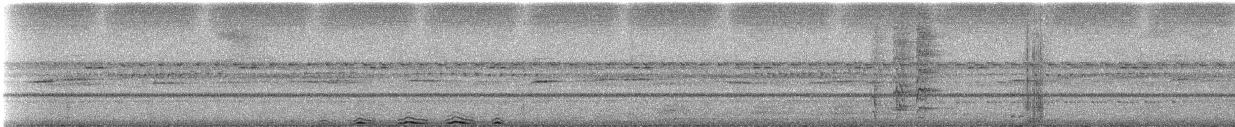 Cárabo Café - ML645418667