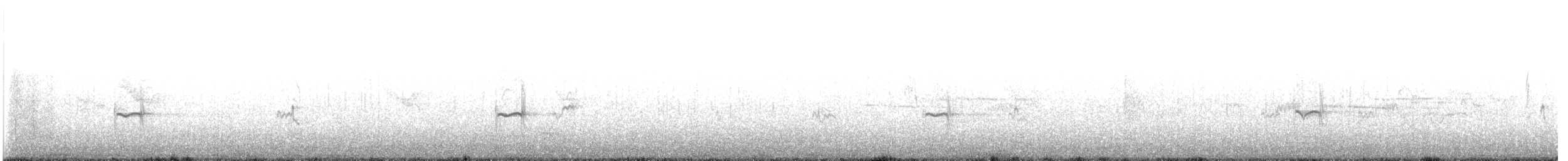 Chorlitejo Semipalmeado - ML645418754