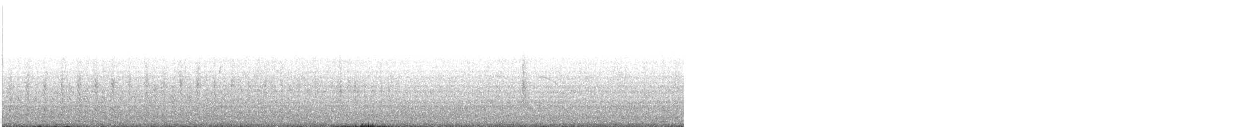 Zampullín Picogrueso - ML645418763