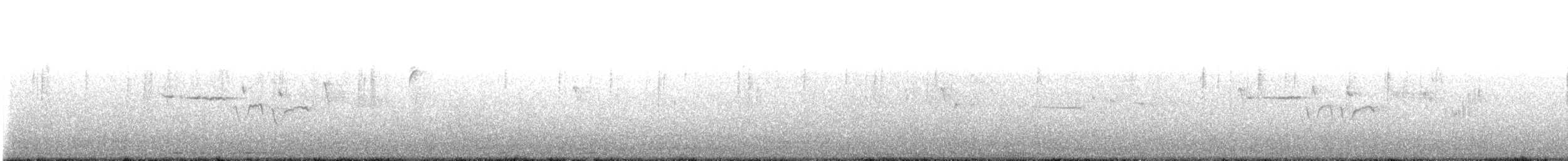 Chingolo Coroniblanco - ML645418767