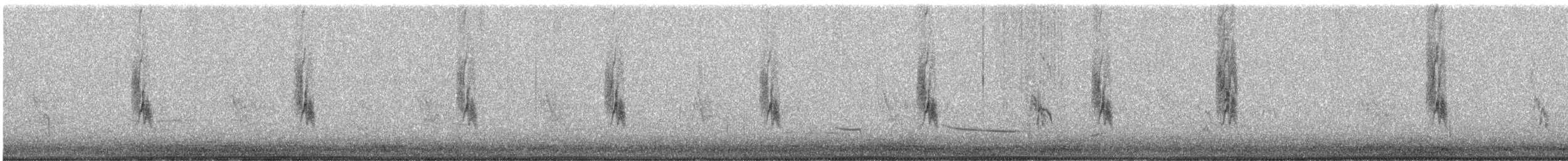 Gorrión Común - ML645418847