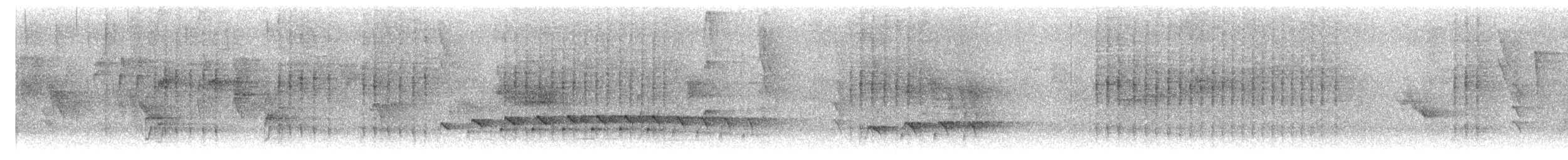 Batará Lineado - ML645418896