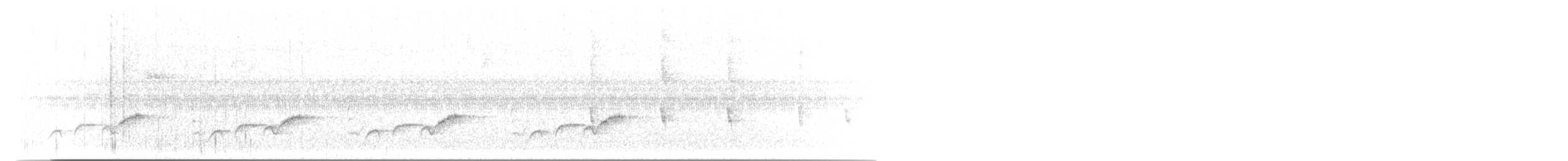 Cucarachero Pechiblanco - ML645419321