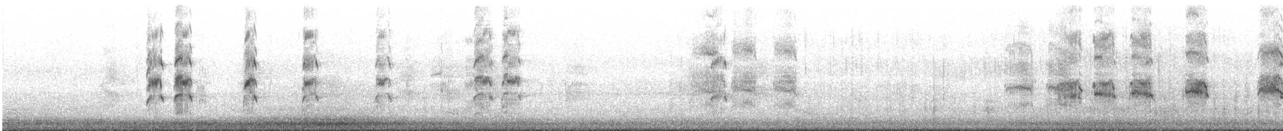 Charrán de Forster - ML645419938