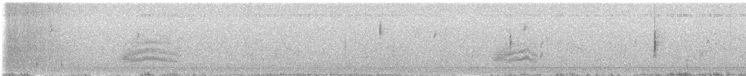 Пятнистый тохи - ML645420478