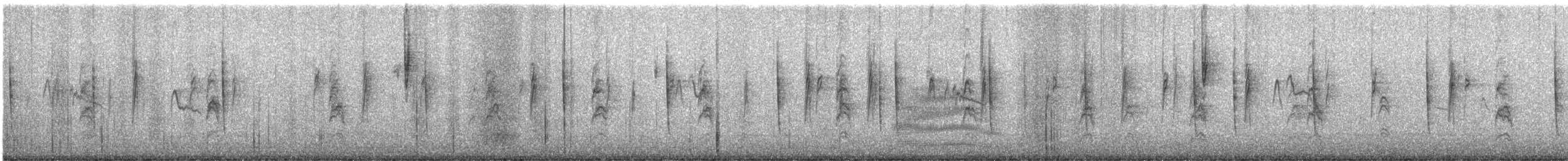 Пятнистый тохи - ML645420701