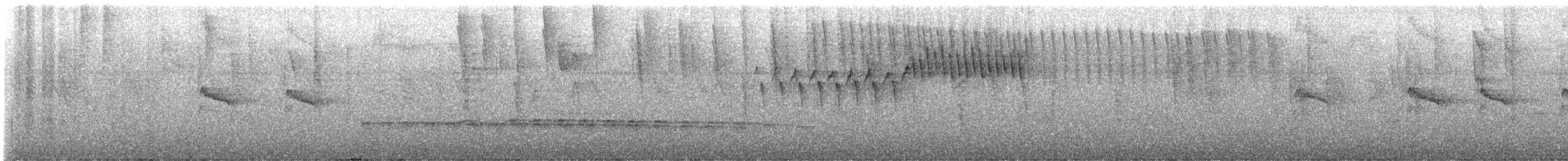 Western Fire-eye - ML645420946