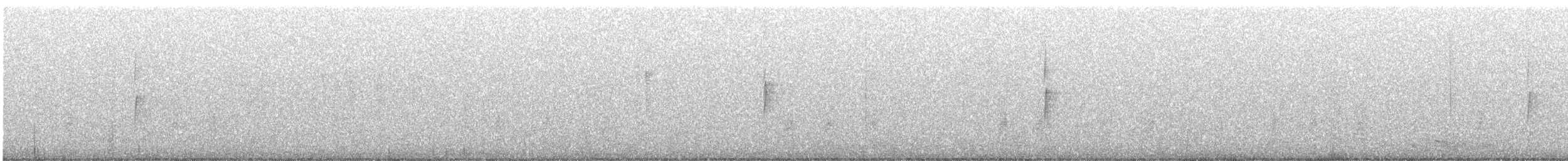 Yellow-rumped Warbler (Audubon's) - ML645421156