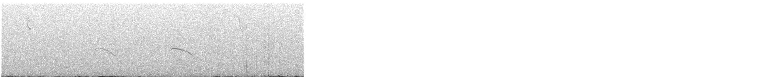 Northern Harrier - ML645421195