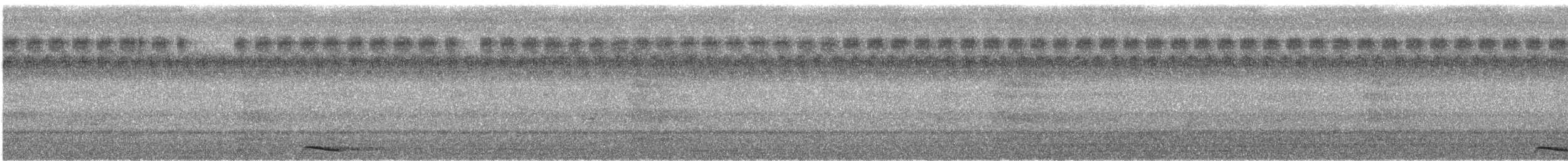 Collared Scops-Owl - ML645421405