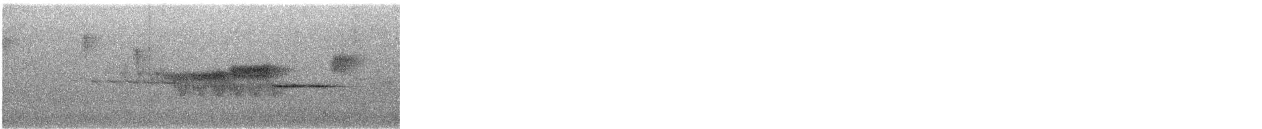 Black-throated Green Warbler - ML645421924